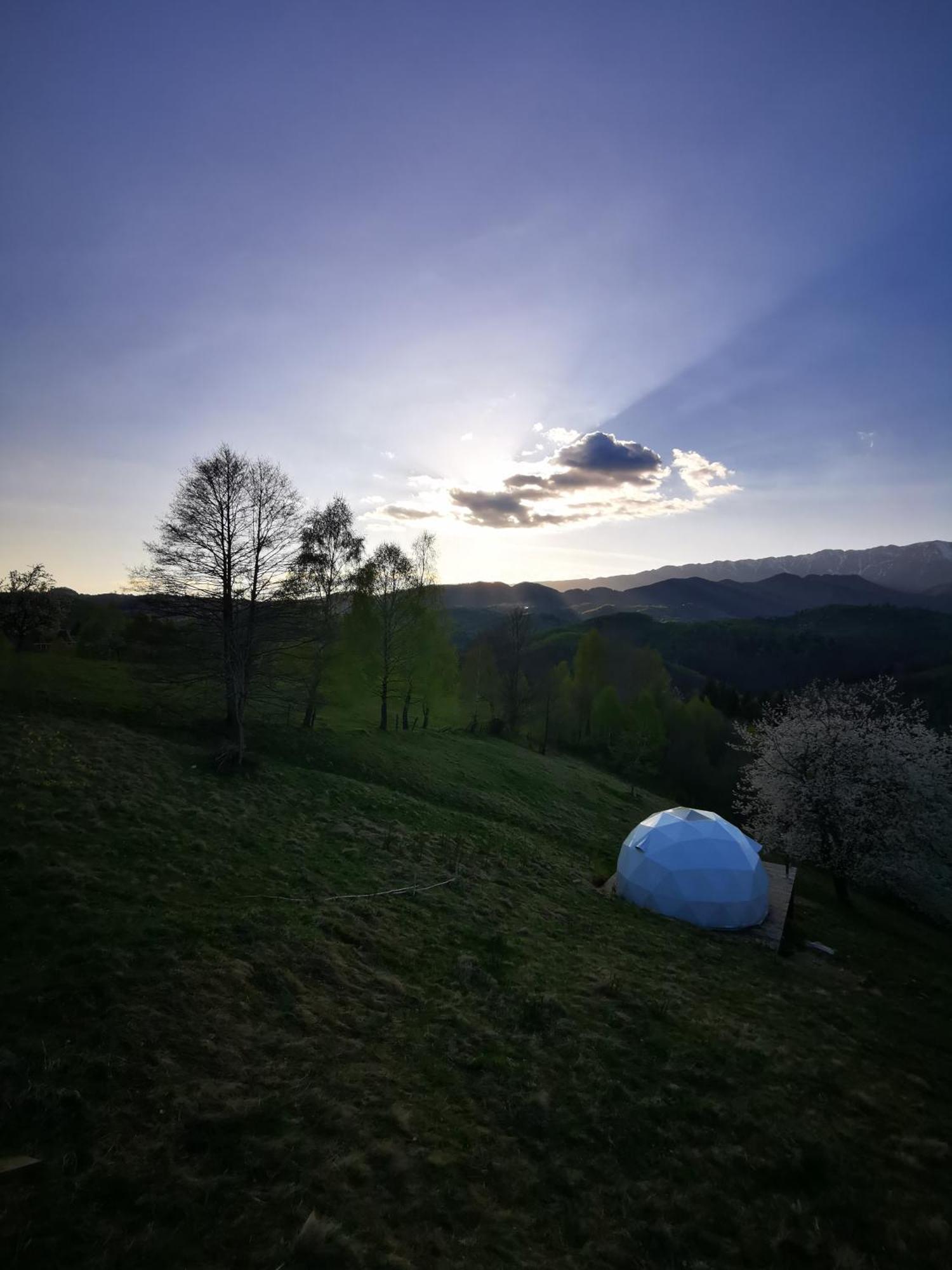 Hotel Glamping Zazen Drumu Carului Exterior foto
