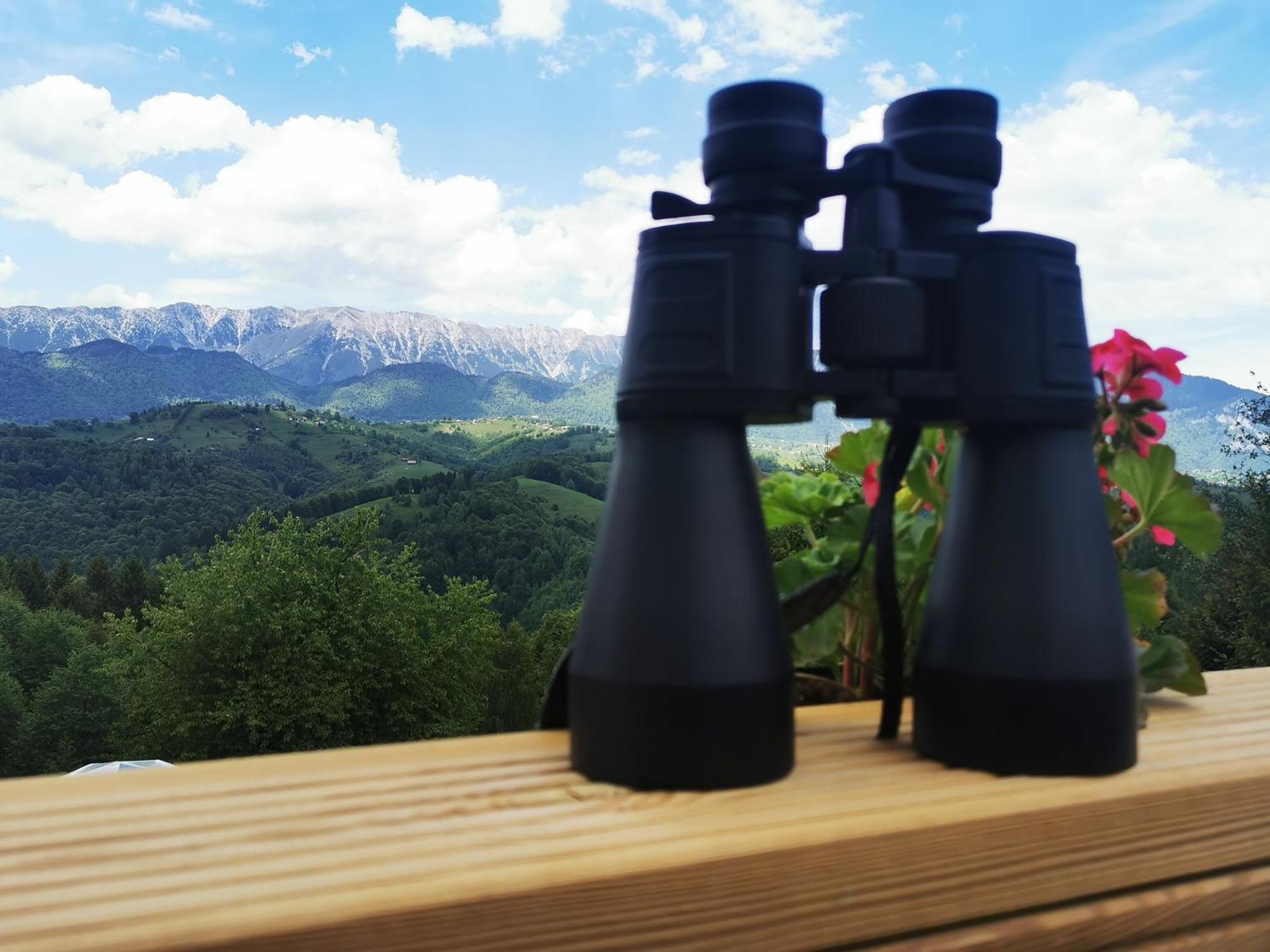 Hotel Glamping Zazen Drumu Carului Exterior foto