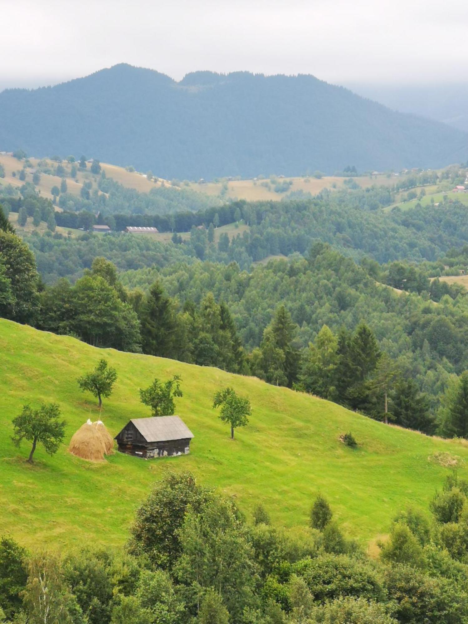 Hotel Glamping Zazen Drumu Carului Exterior foto