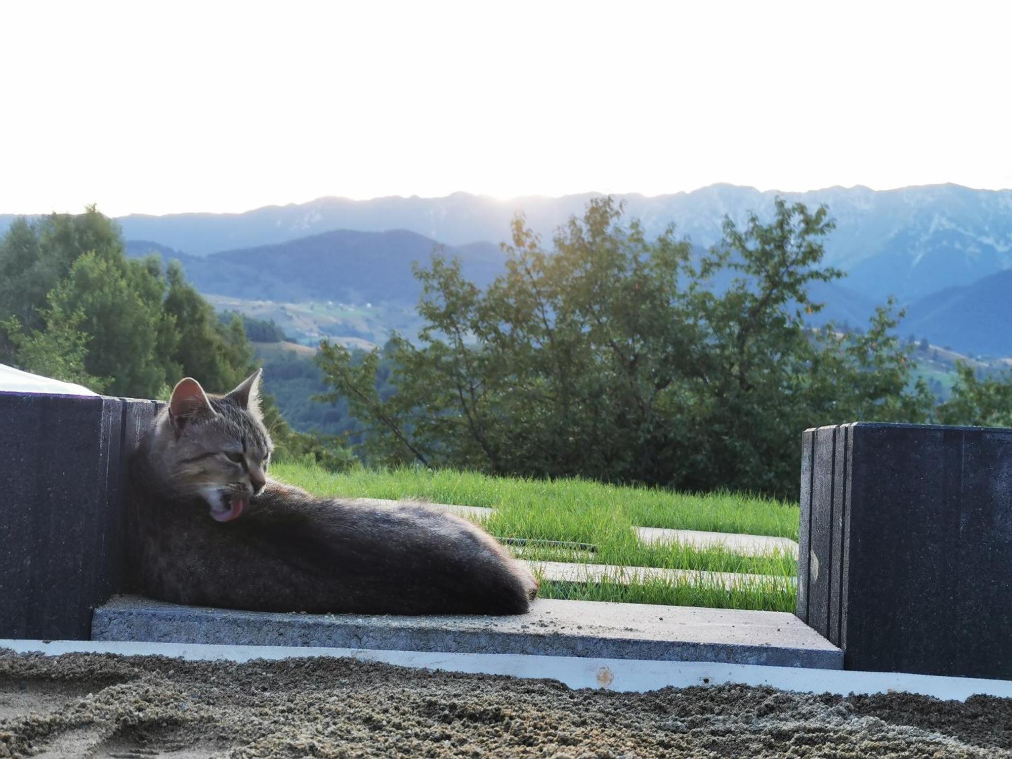 Hotel Glamping Zazen Drumu Carului Exterior foto