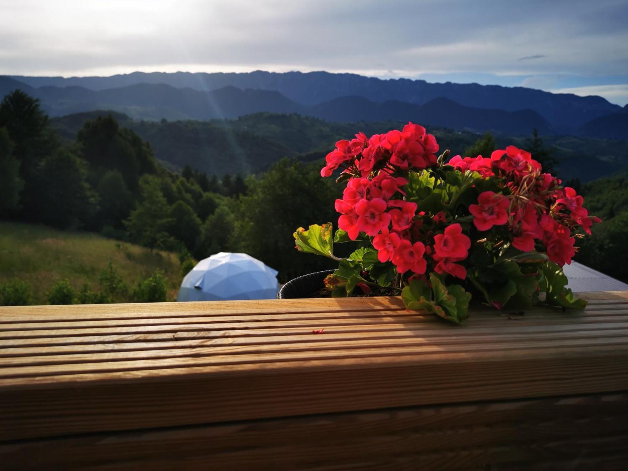 Hotel Glamping Zazen Drumu Carului Exterior foto